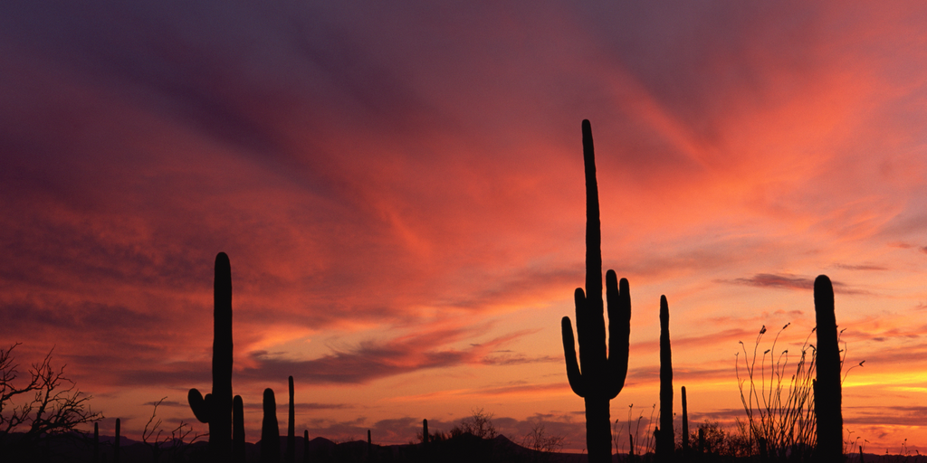 Desert Blaze